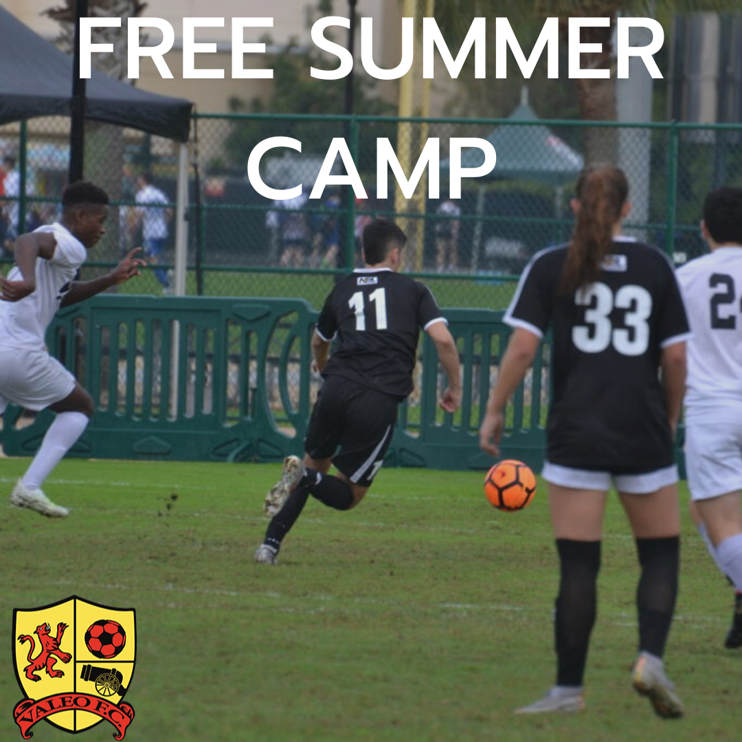 FREE SUMMER CAMP_v2