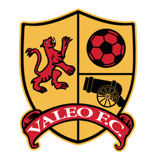 https://ireland.valeofc.com/wp-content/uploads/sites/10/2022/08/cropped-valeo-logo-small.png